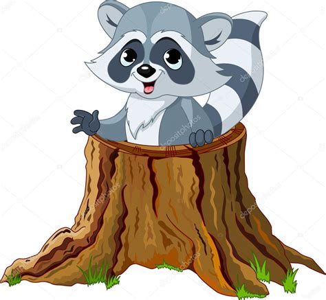 Polish your personal project or design with these tree stump transparent png images, make it even more personalized and more attractive. Raccoon in tree stump — Stock Vector © Dazdraperma #5781939