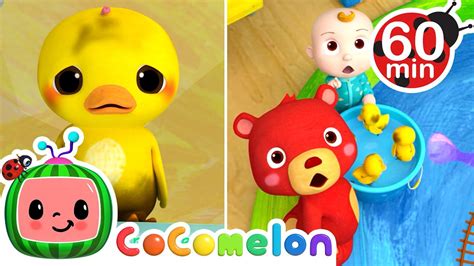 Baby Duck Hide And Seek Cocomelon Animal Time Learning With Animals