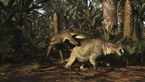 Extinction 250 Million Years Ago