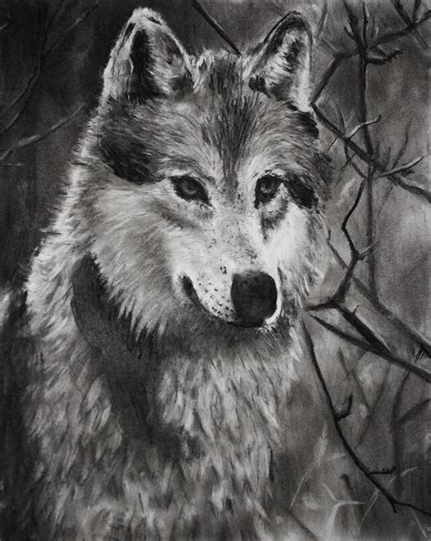 Artstation Charcoal Wolf