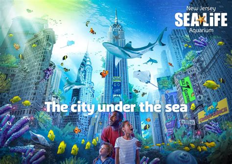 New Jersey Sea Life Aquarium Announces Opening Date The Jersey Momma