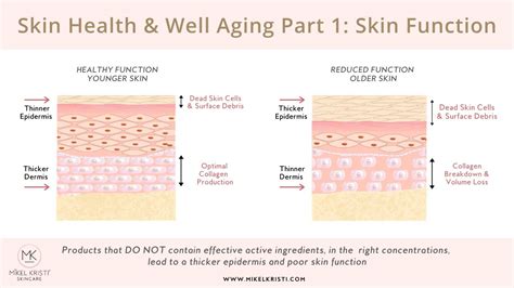 March Blog 2 Skin Function Youtube