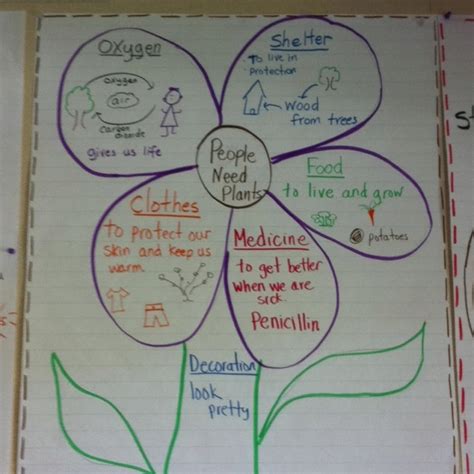 People Need Plants Anchor Chart Note Penicillin Is A