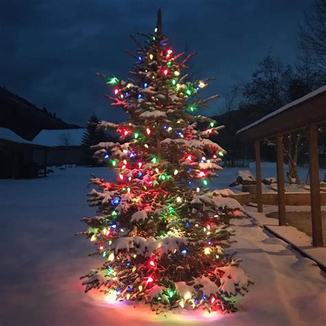 40 Incredible Outdoor Christmas Tree Decorations For The