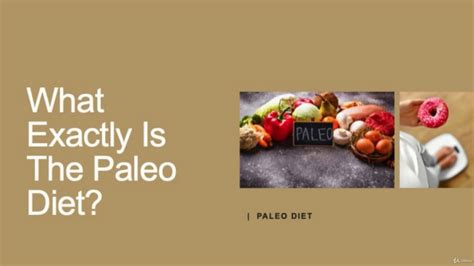 a beginner s guide to paleo diet 2 what exactly is the paleo diet youtube