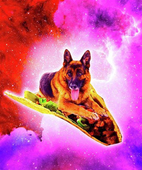 Outer Space Galaxy Dog Riding Taco Digital Art By Random Galaxy Pixels
