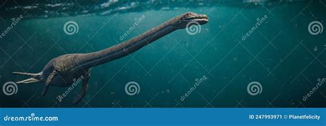 Elasmosaurus Plesiosaur From The Late Cretaceous Period One Of The
