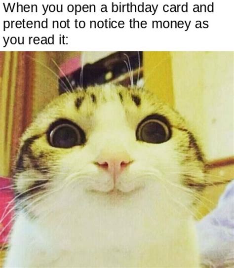 Birthday Money T Meme Video And S Memes Funny Cat Meme