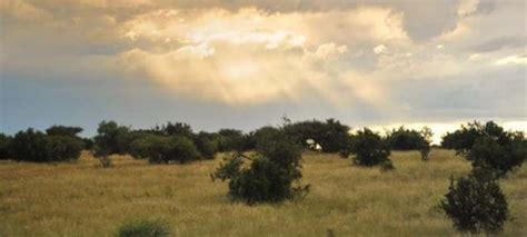 photo gallery linksfontein safari lodge northern cape south africa