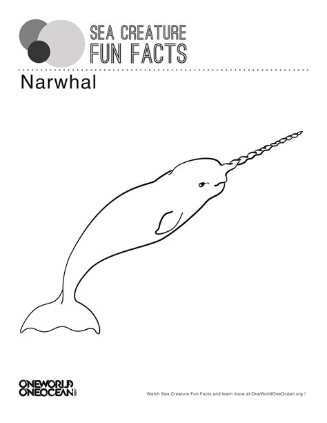 They are toothed whales so obviously have teeth in their mouths. Narwhal | Coloring pages for kids, Narwhal, Fun facts