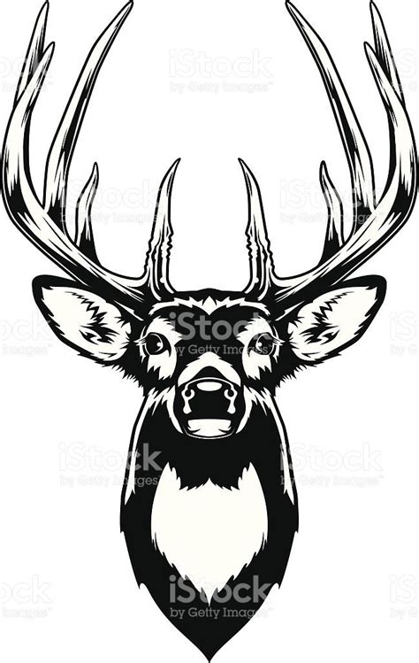 Black And White Illustration Of A White Tailed Deer Bucks Head Deer