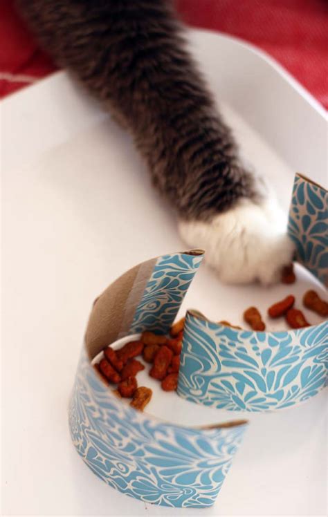 If you know me, you know that i am totally addicted to my two cats: DIY Cat Food Maze for the Ultimate Kitty Boredom Buster ...