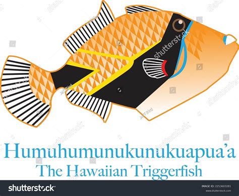 Colorful Vector Illustration Hawaiis State Fish Stock Vector Royalty