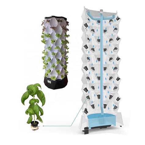 486480 Plants Hydroponic Tower Pineapple Planting Style Etsy