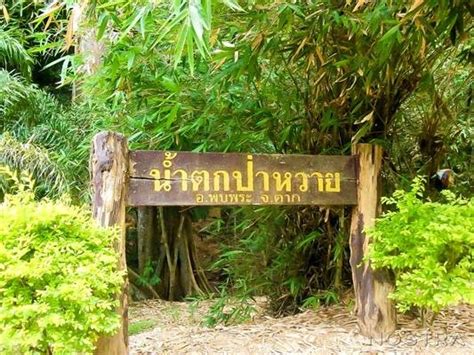We did not find results for: น้ำตกป่าหวาย - รีวิวสถานที่ท่องเที่ยว - Wongnai