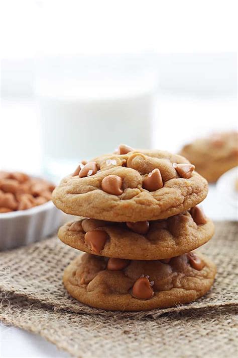 This recipe yields a crunchy and sweet drop cookie through use of butterscotch chips and crushed potato chips. Butterscotch Pudding Triple Chip Cookies Recipe — Dishmaps
