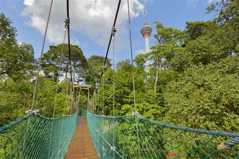 (8,167.25 km) 43500 semenyih, selangor, malaysia. KL Forest Eco Park | Kuala Lumpur, Malaysia Attractions ...