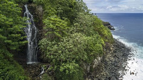 Cocos Island Expedition A Lesson In Enforcement Mission Blue