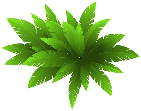 Plant Clipart Png 10 Free Cliparts Download Images On Clipground 2024