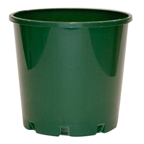 Vector illustration of plant in pot with green leaves and yellow round flowers. REKO 125mm Green Round Plastic Growers Pot | Bunnings ...