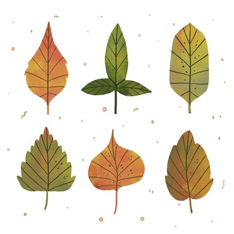 Free Vector Hand Drawn Leaves Collection
