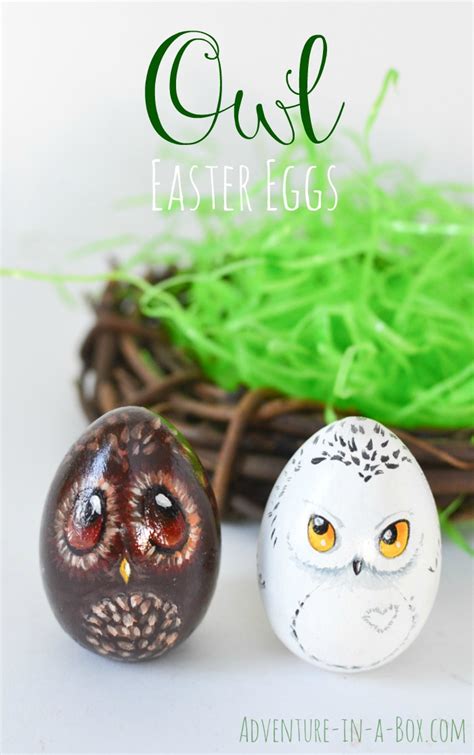 Owl Easter Eggs Adventure In A Box