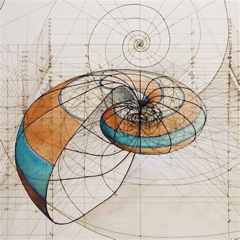 Coloring Fibonacci In Nature Fresh Rafael Araujo Draws Perfect