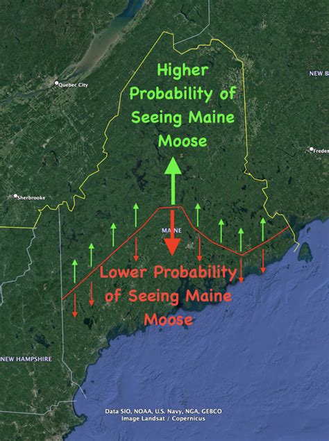 Where To See Moose In Maine With Maps Jason Tome Outdoors