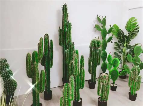 Cacti are great, some are low maintenance, while others require a bit of attention. Wholesale Potted Plants Artificial Cactus For Home ...