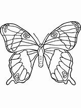 Butterfly Coloring Pages Realistic Butterflies Kids Animals Butterflys Beautifull Mariposas Para Colorear Fun Cliparts Colouring Coloringpages101 Dibujos Printable Firefly Print sketch template