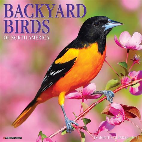 Backyard Birds 2021 Calendars