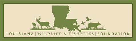 Louisiana Wildlife And Fisheries Foundation Elects New President