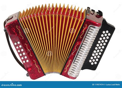 Accordion Royalty Free Stock Photography 14189609
