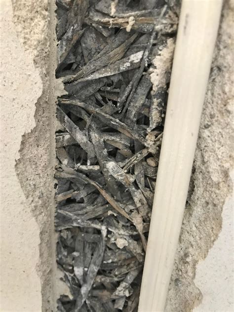 We did not find results for: Ist das eine Asbest Dämmung? (Wand, Gefahrstoffe)