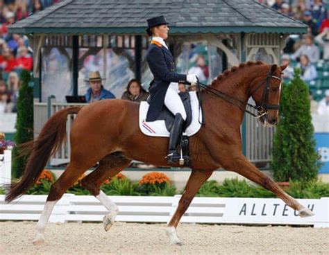 The 10 Best Dressage Horses And Riders Ever Central Steel Build