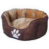 Luxury Beds For Dogs Uk Pictures