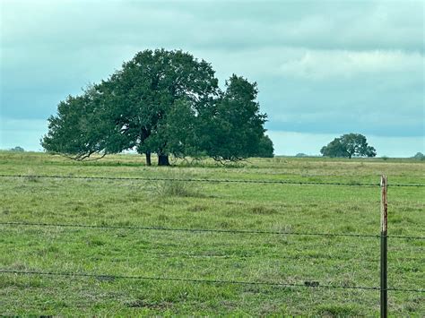 1,729.55 acres in Bee County, Texas