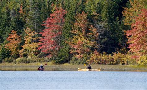 Canoers Under Autumn Trees On A Lake Stock Image Image Of Scenic