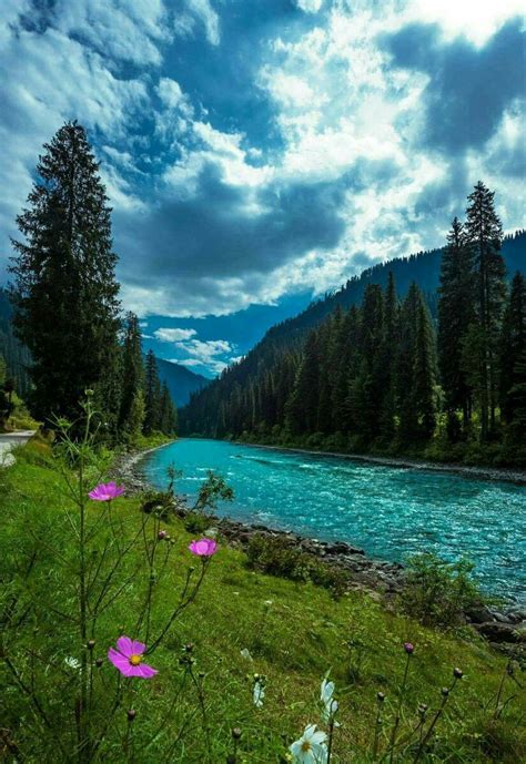 Gurez Valley Kashmir India 풍경 사진 사진 자연