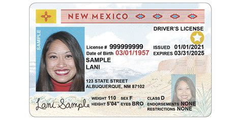 New Mexico Temporary Id Template