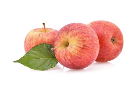 Gala Apples Isolate On White Background Stock Photo Image Of Gala