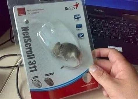 My New Gaming Mouse Rcursedimages