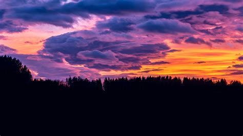 1920x1080 Sunset Clouds Forest 4k Laptop Full Hd 1080p Hd 4k
