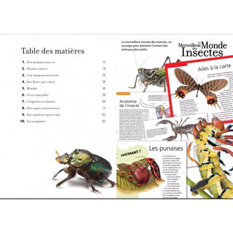 Le Merveilleux Monde Des Insectes Lecolporteur