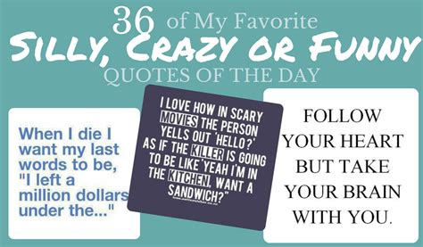 36 Of My Favorite Silly Crazy Or Funny Quotes For The Day
