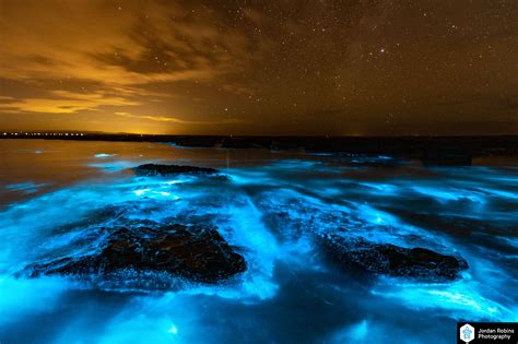 Stunning Bioluminescence Display In Jervis Bay