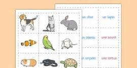 We're a community for those learning the french language. FREE! - Animal Names in French: Word Cards (teacher made)