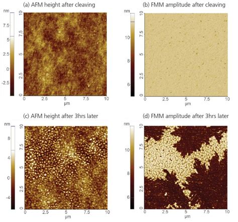 Force Modulation Microscopy Fmm