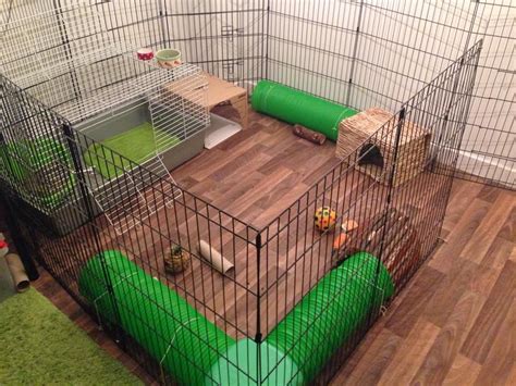 Diy Bunny Cage Ideas Indoor Bunny Cage Diy Bunny Cage Bunny Cages