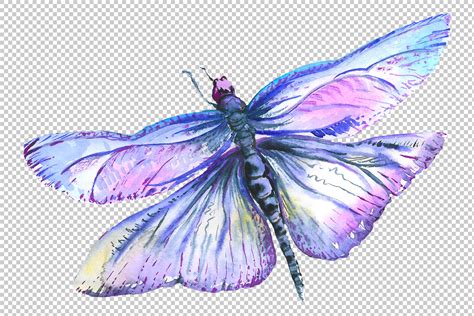 Original Dragonfly Blue Watercolor Png By Mystocks Thehungryjpeg
